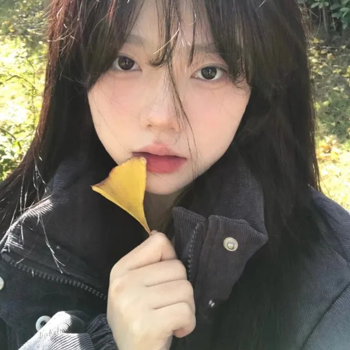 锦衣之下之绣春刀海报